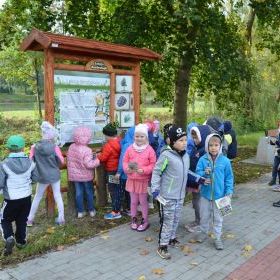 Ścieżka edukacyjno-przyrodnicza w Porębie. (3)
